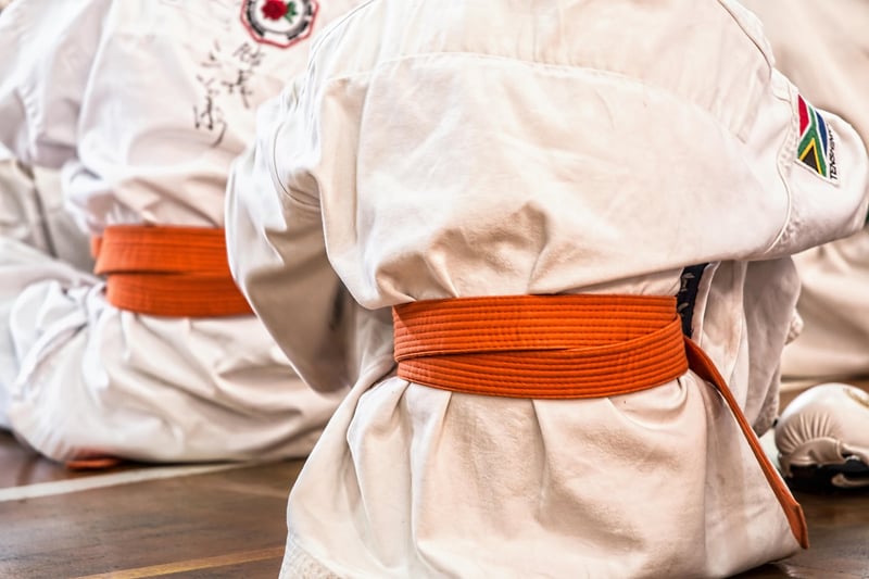 Mindful Martial Arts