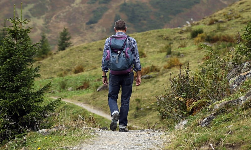 Mindful Walking
